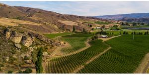 ボールドヒルズの畑の全景の写真、Winetopia 2020に参加します。